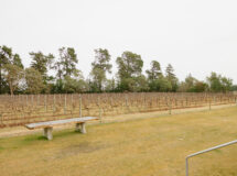 Springbank Blackhouse Vineyard Opening